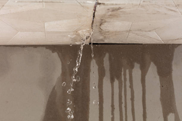 Professional Sewage Cleanup technician working in Greenfield, NH